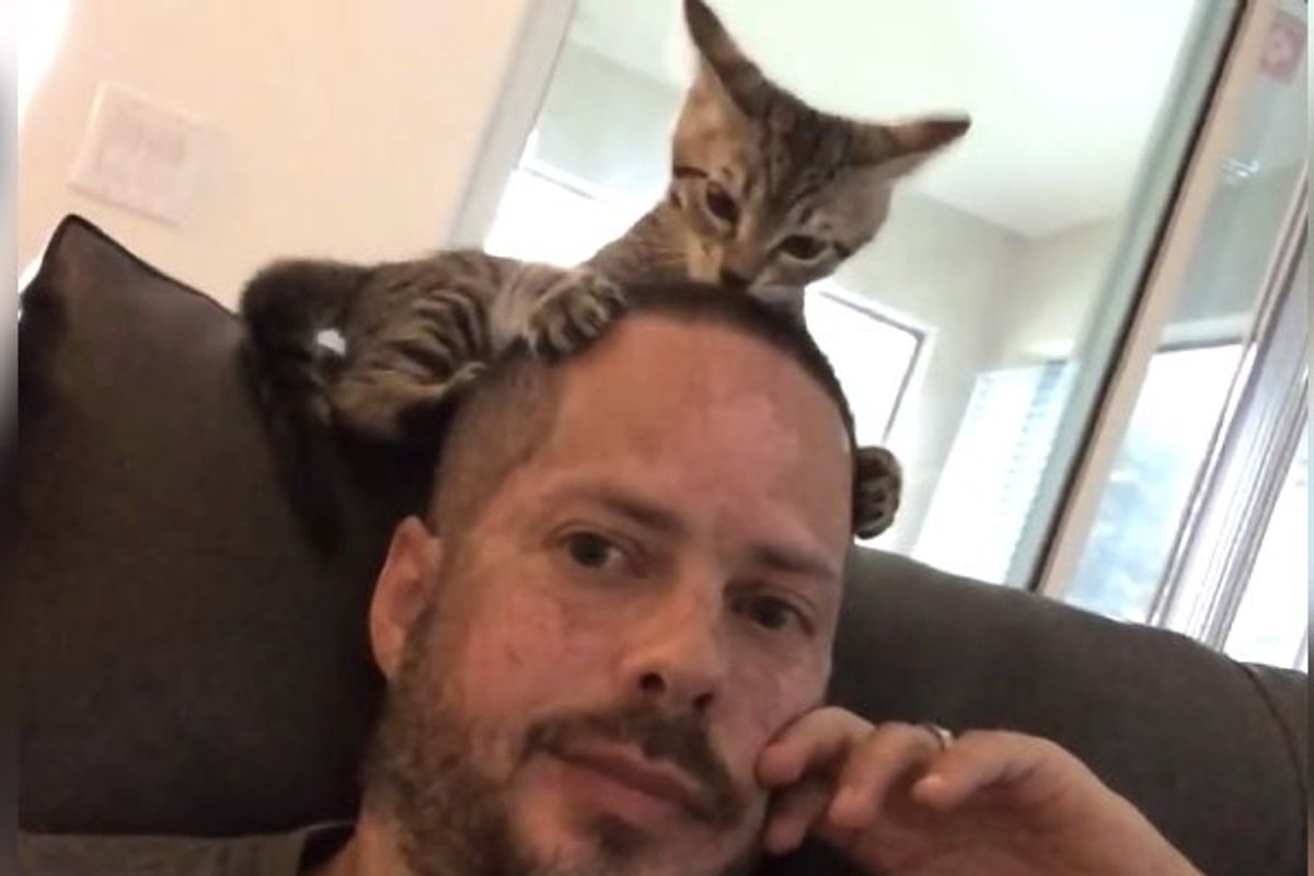 Foster Kitten Gives Dad a Kitty Hair-cut