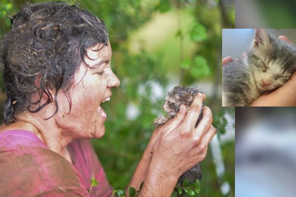 Rescuer Went to Heroic Lengths to Save Kitten from Drain Pipe as Water was Rising