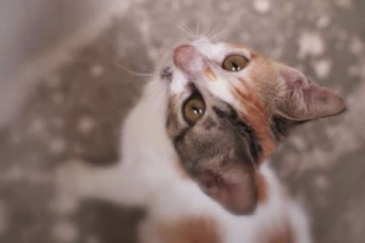 She Can't Stop Shaking But She's Living Her Life to the Fullest