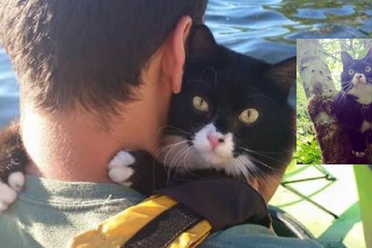 Adventurous Hiking Cat Takes His Humans on a Journey They Never Expected