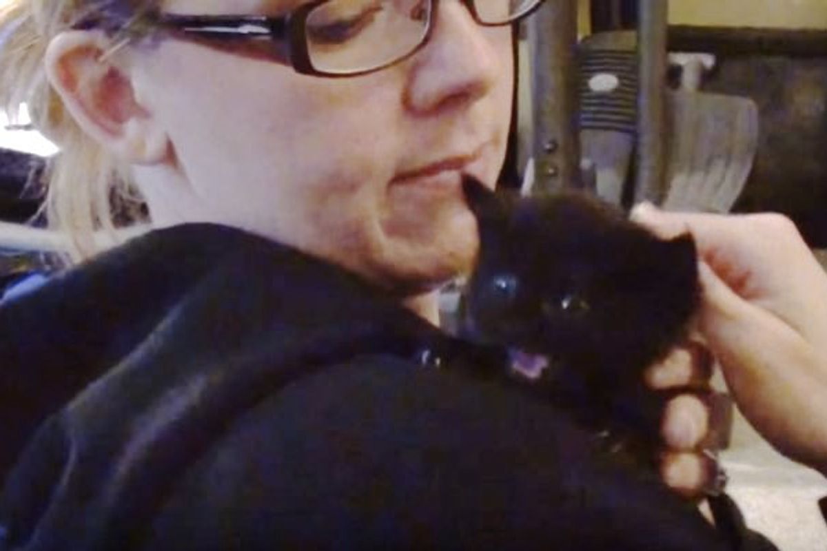 Tiny Rescue Kitten and His First Bath