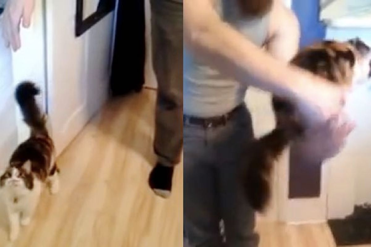 Kitty's Unique Way to Start Her First Meal of the Day