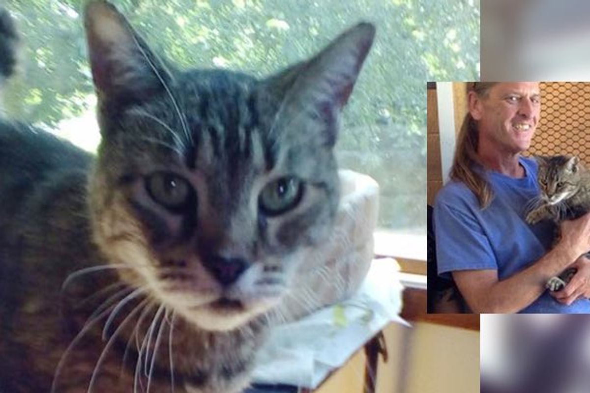 After 12 Years in Shelter, Cat Finally Found Her Forever Human
