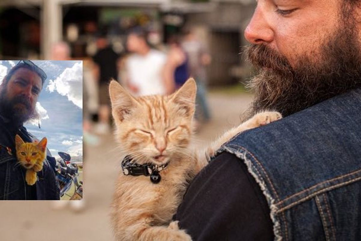 Biker Saves Injured Kitten and Continues His Trip While Caring for Him
