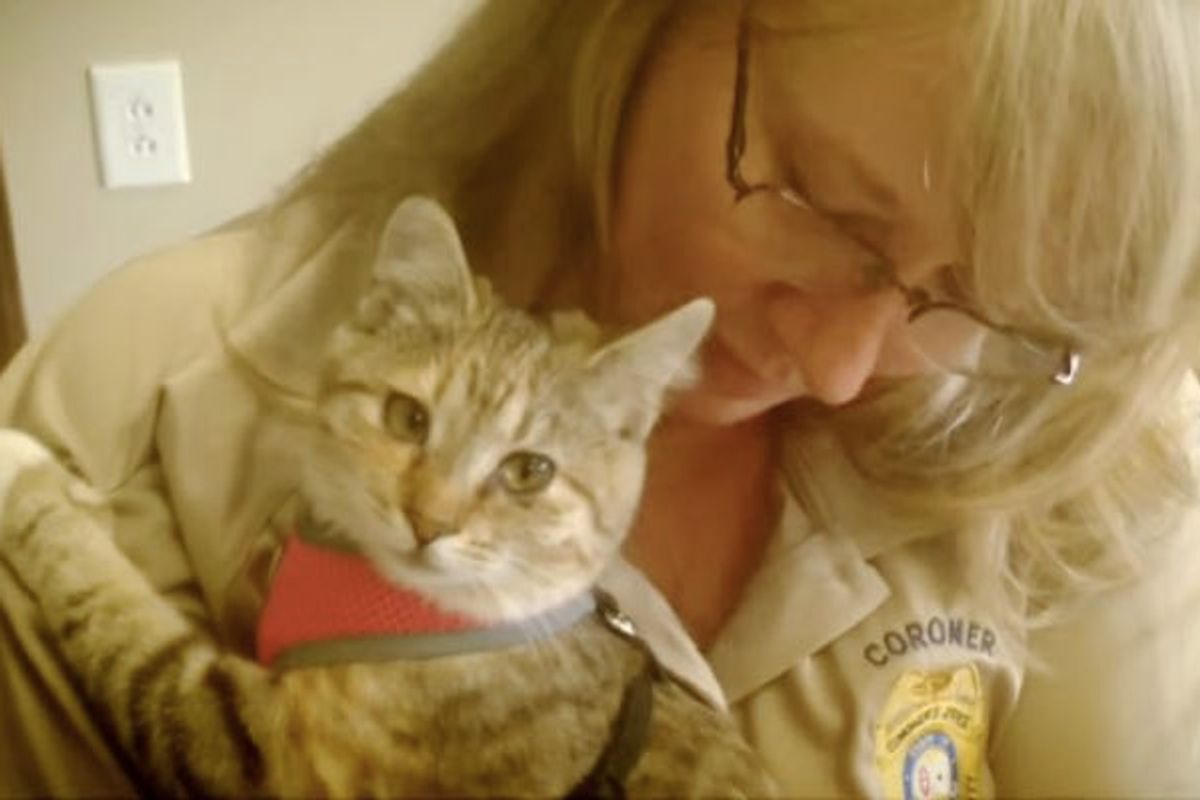 Coroner Fights To Keep Therapy Cat at the Office