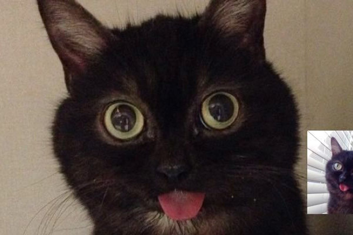 He's Always Happy and His Tongue Always Sticks Out