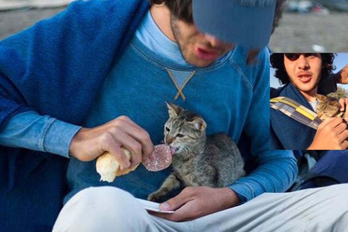 Syrian Refugee Travels Thousands of Miles with His Kitten to Hungary, Hoping to Start Again