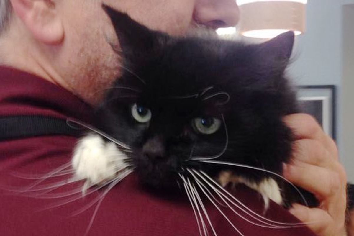 18 Year Old Cat Dropped Off Outside Shelter with Sad Note