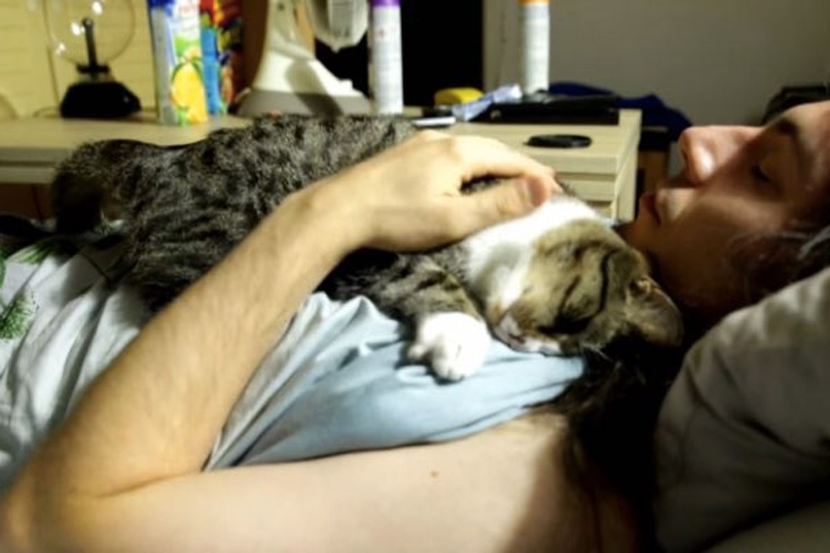 Kitty Wakes Up Man with Same Ritual Every Day Since He Rescued Her as a Baby
