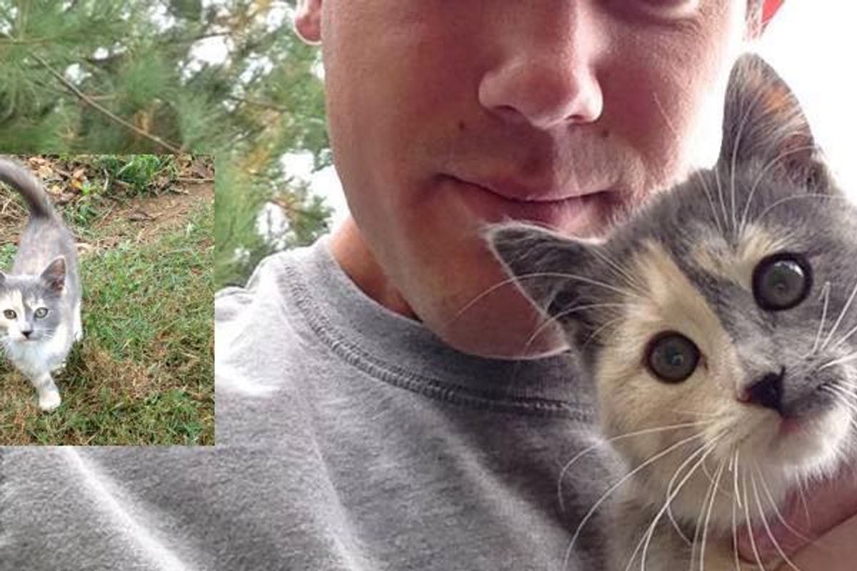 Man Captures Moments of Him Being Chosen by Calico Stray He Met in Cornfield...