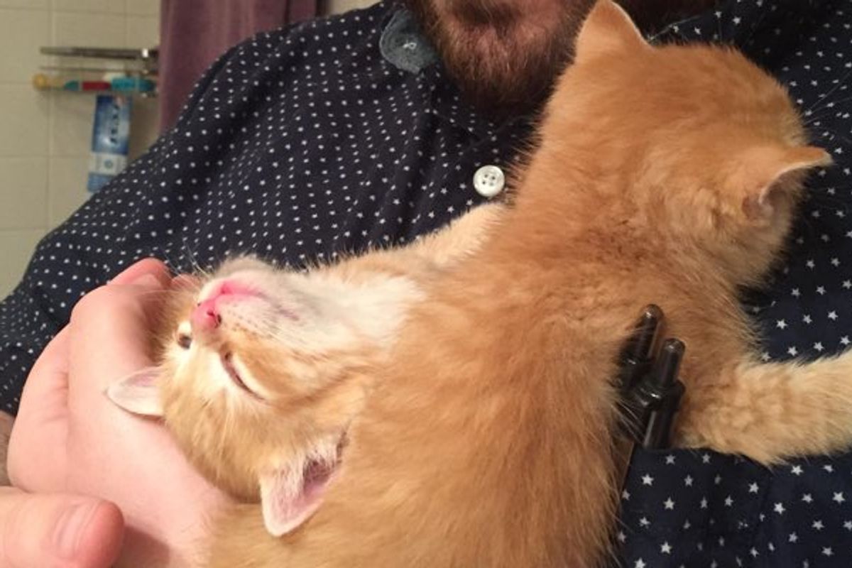 A Year Ago Two Ginger Sisters Found Crying Under AC Unit. Look at Them Now!