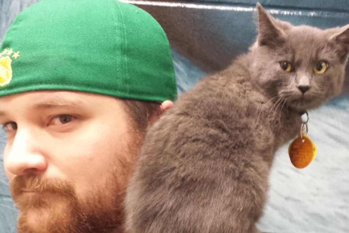 A Man Takes a Chance on a Hissy Shelter Kitty, After a Few Pets, Everything Changes..