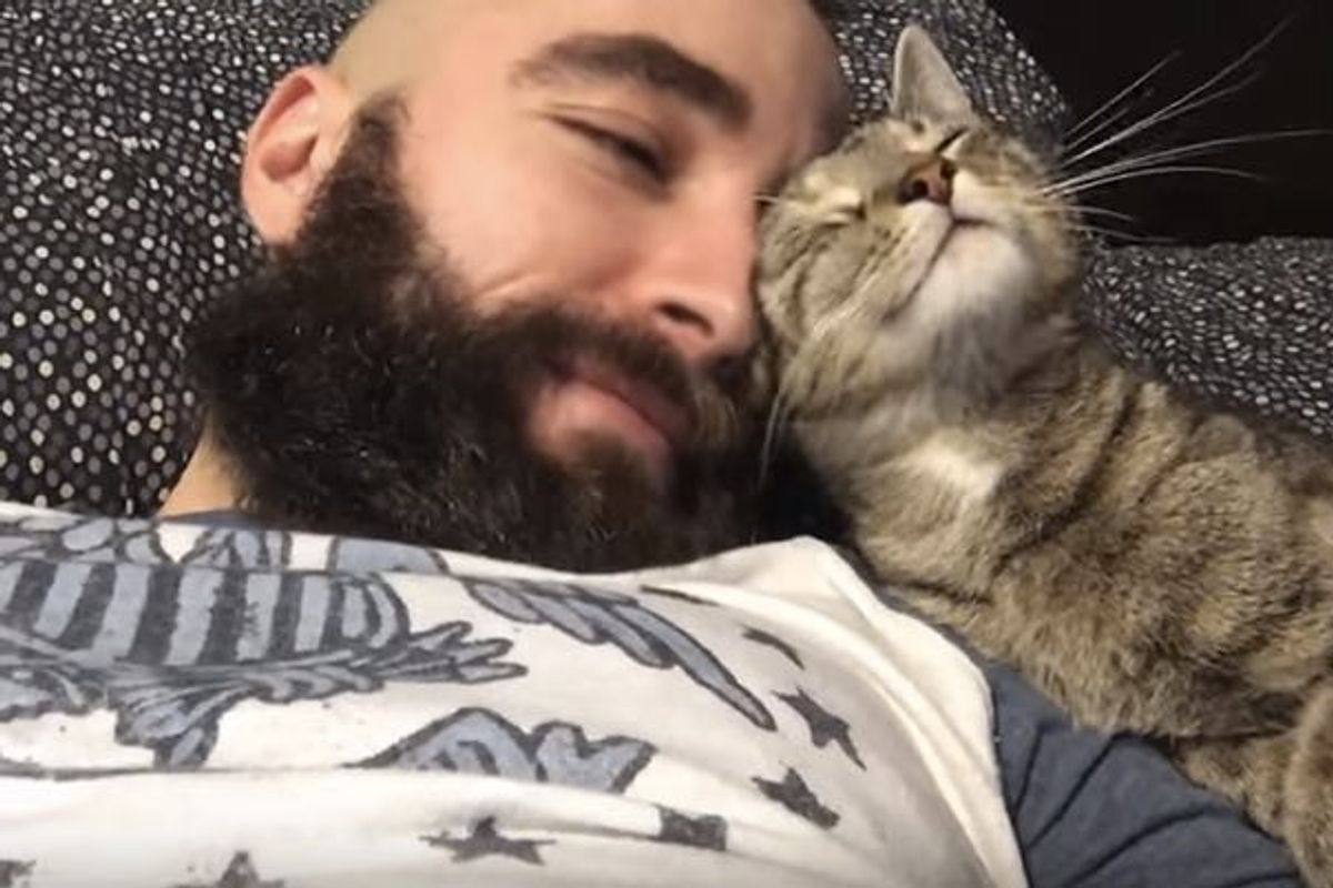 Kitty Waking Up His Human Dad with Snuggles and a Big Hug!