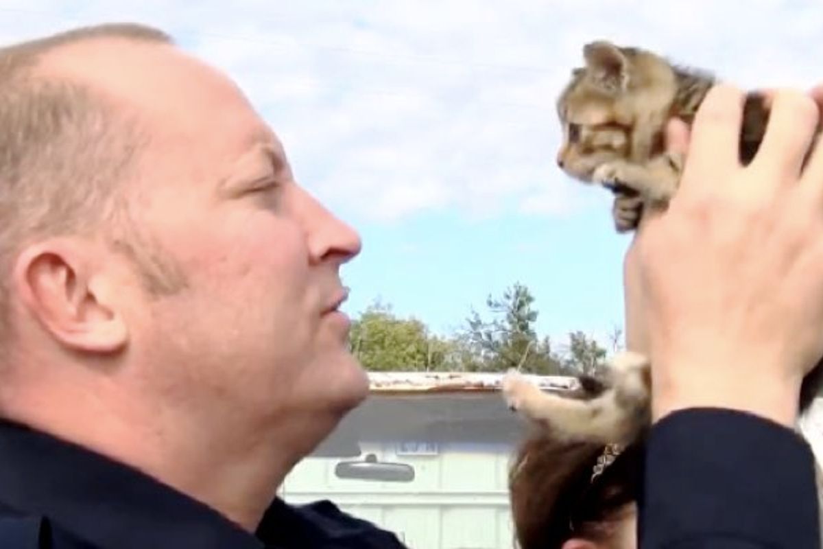 Two Kittens Saved by Officers from Impound Lot