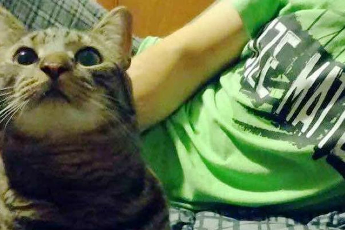 He was Turned to Shelter Twice, At 4 He Waited for His Forever Humans...