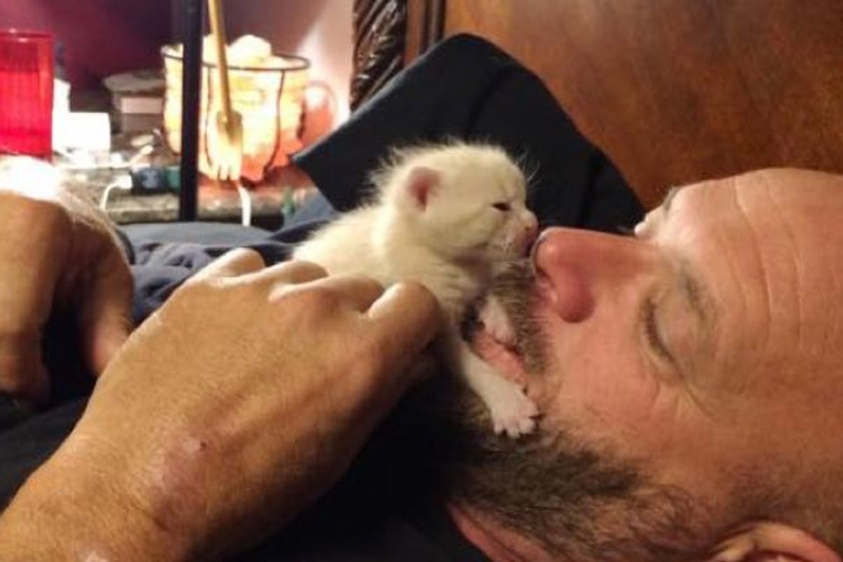 Man Rescues Orphaned Kitten and Becomes Her New 'Mom'