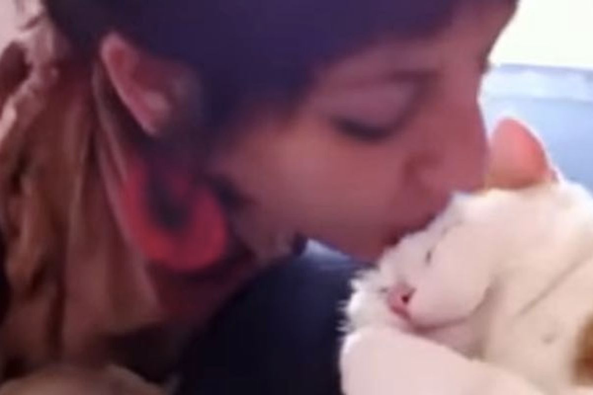 Kitty Meows for More Kisses on the Forehead