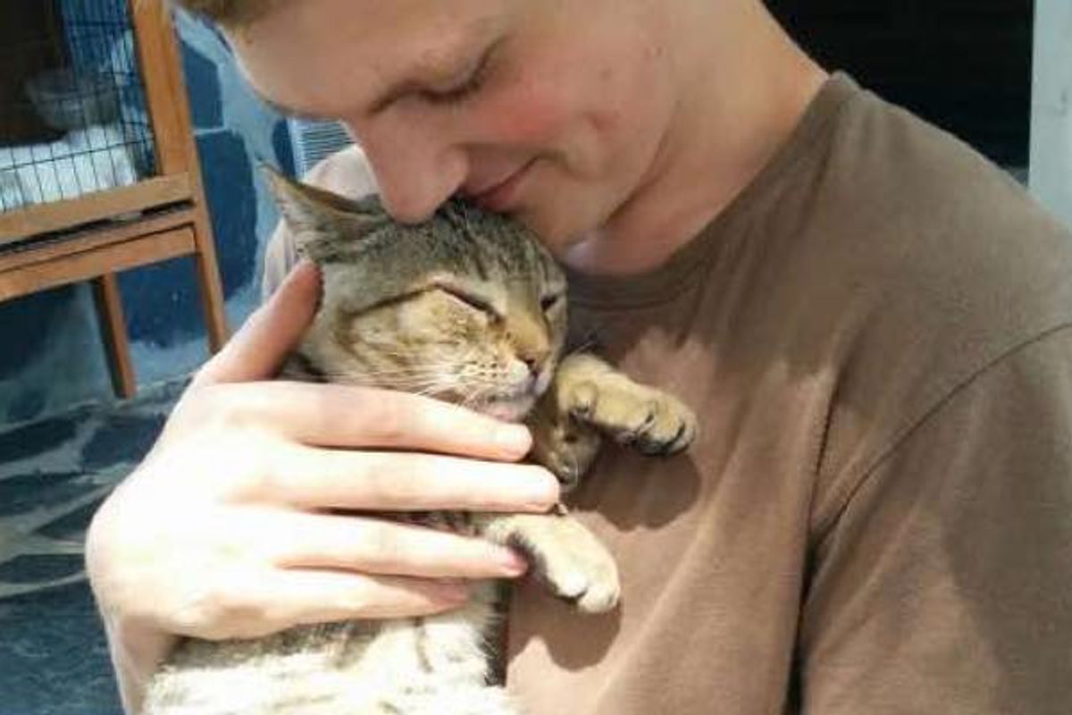 Hotel Cat Moves into Hearts of 2 Brothers. They Can't Part with Him...