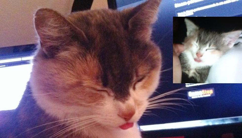 It's Been 8 Years She Still Sticks Out Her Tongue