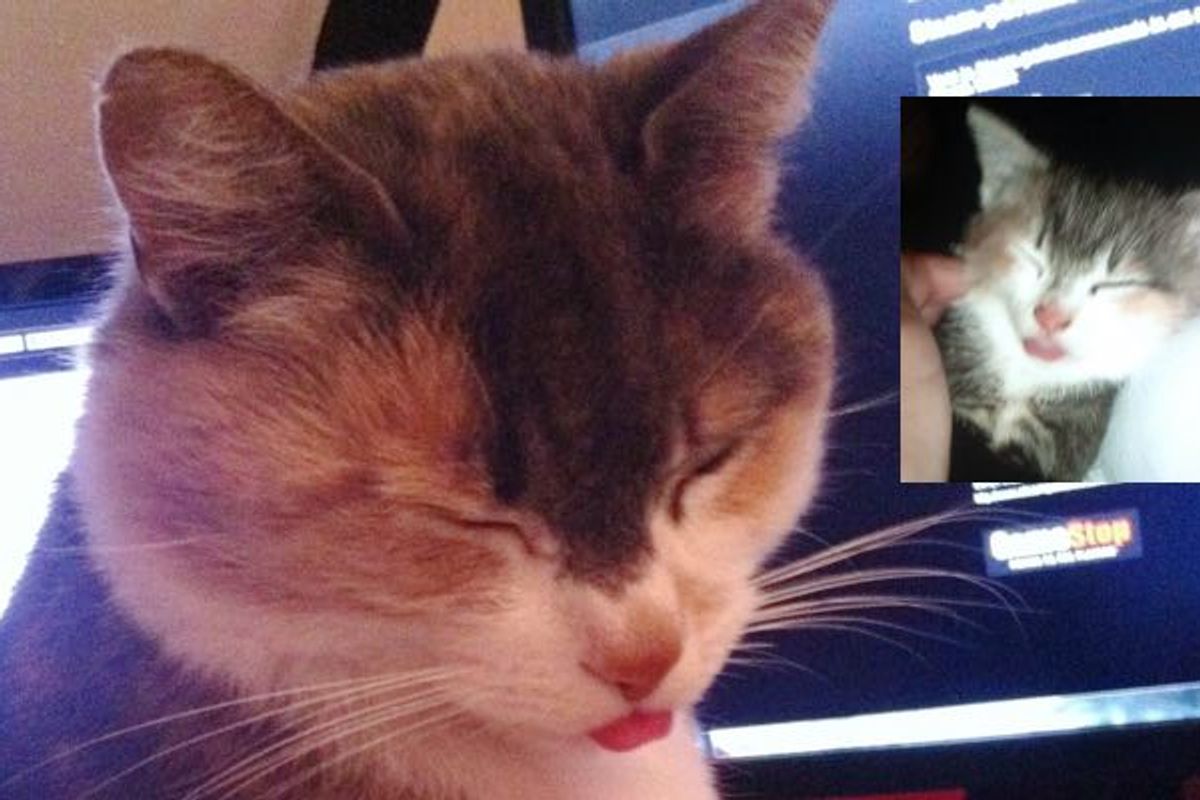 It's Been 8 Years She Still Sticks Out Her Tongue