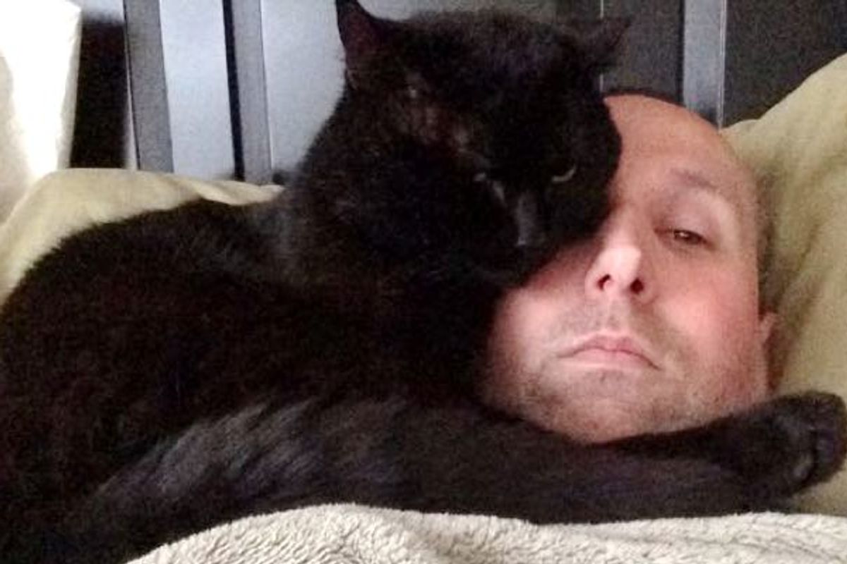 Cat Spent Most of His Life as a Stray Until He Found this Man