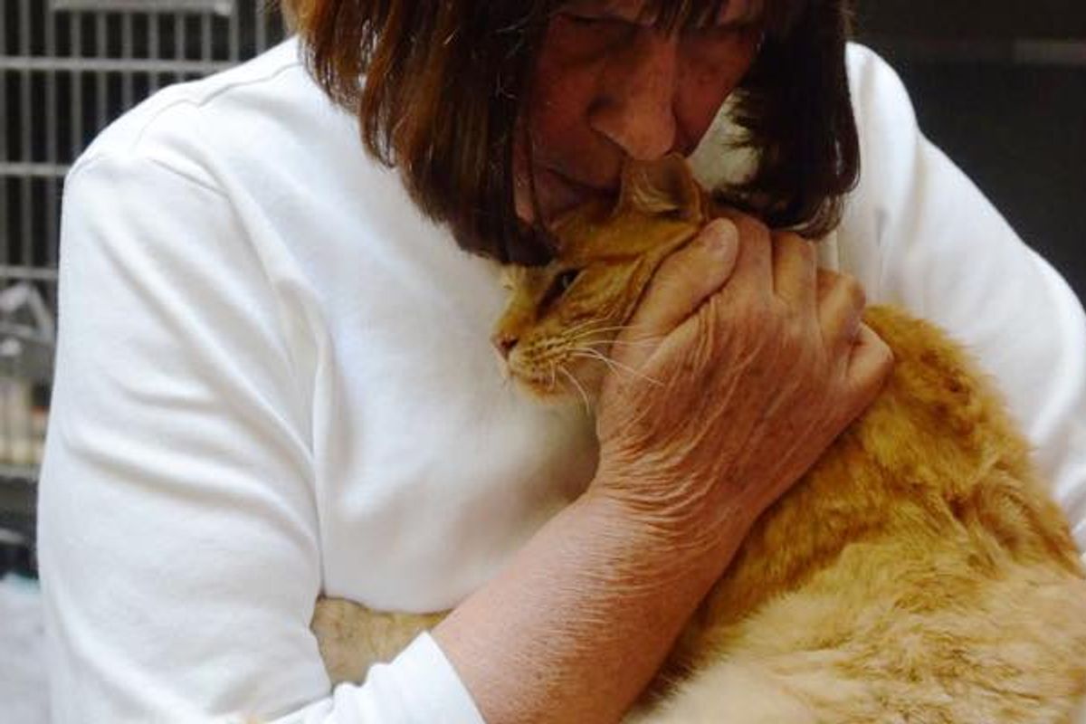 They Waited 8 Years Finally Reunited with Missing Cat Thanks to a Man