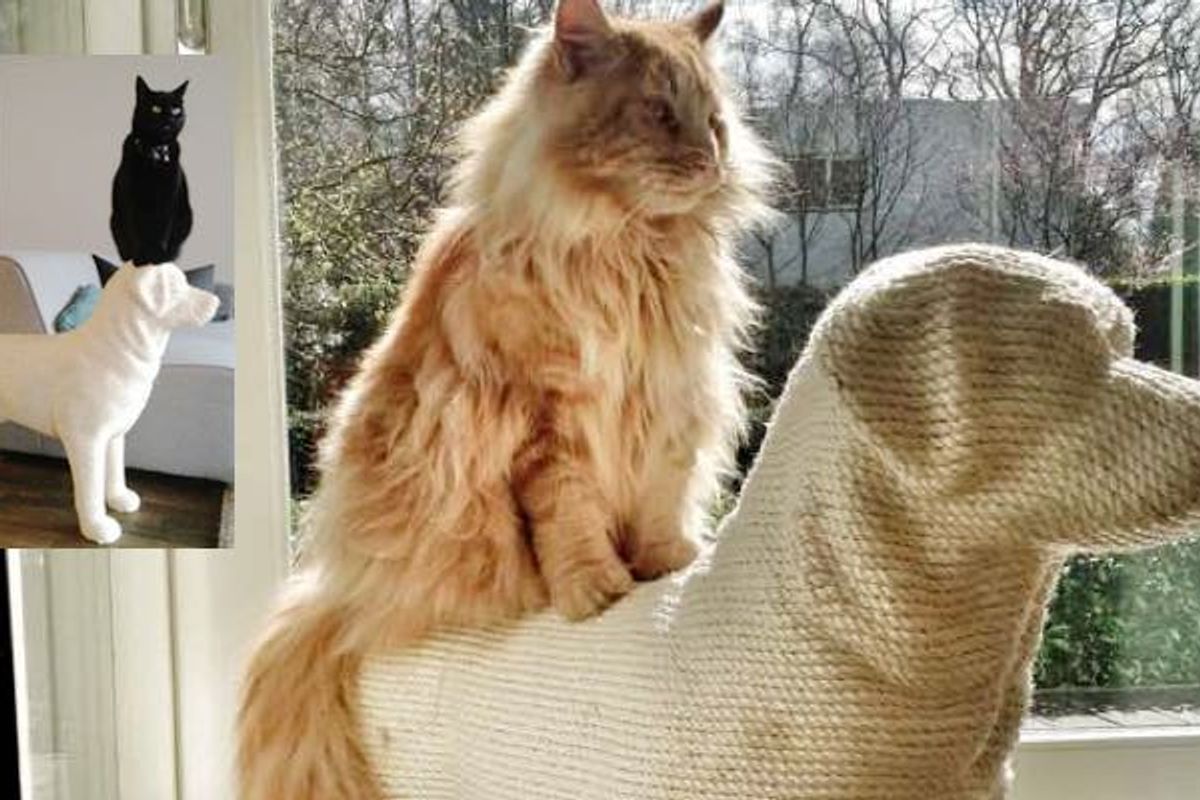 Man Builds Dog-shaped Scratching Post for His Beloved Cat
