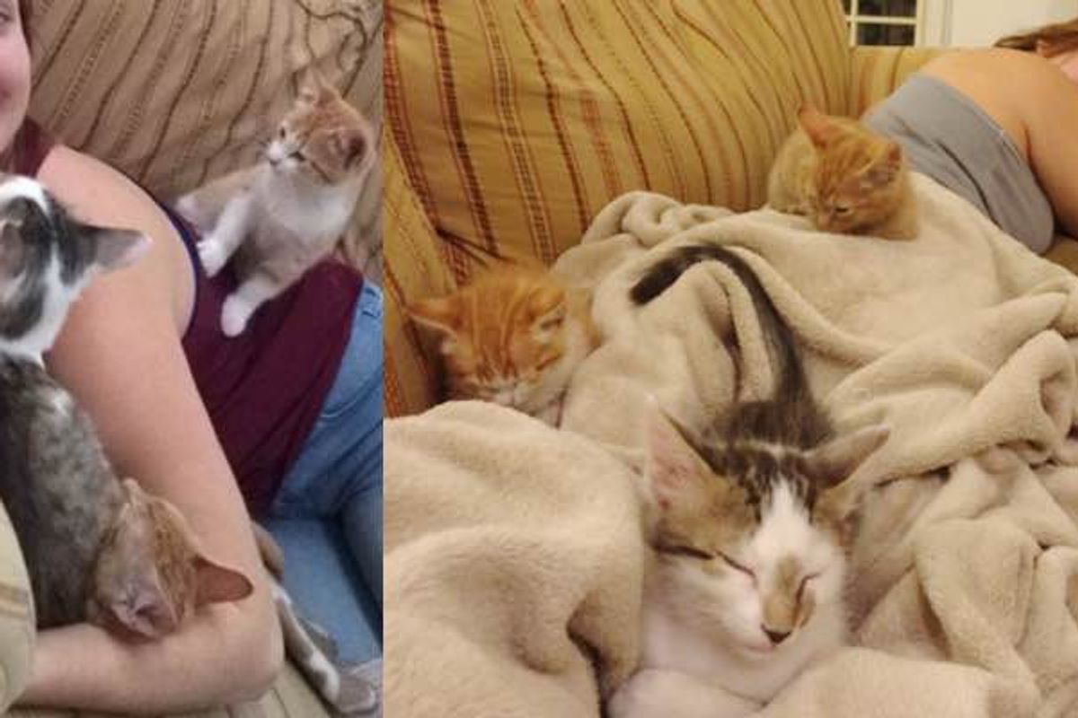 She Rescued These Fur Babies, Now They Can't Stop the Cuddles :)