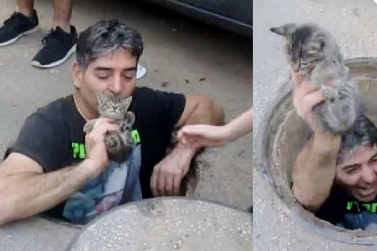 Heroic Man Jumps in Storm Drain to Save Kitten