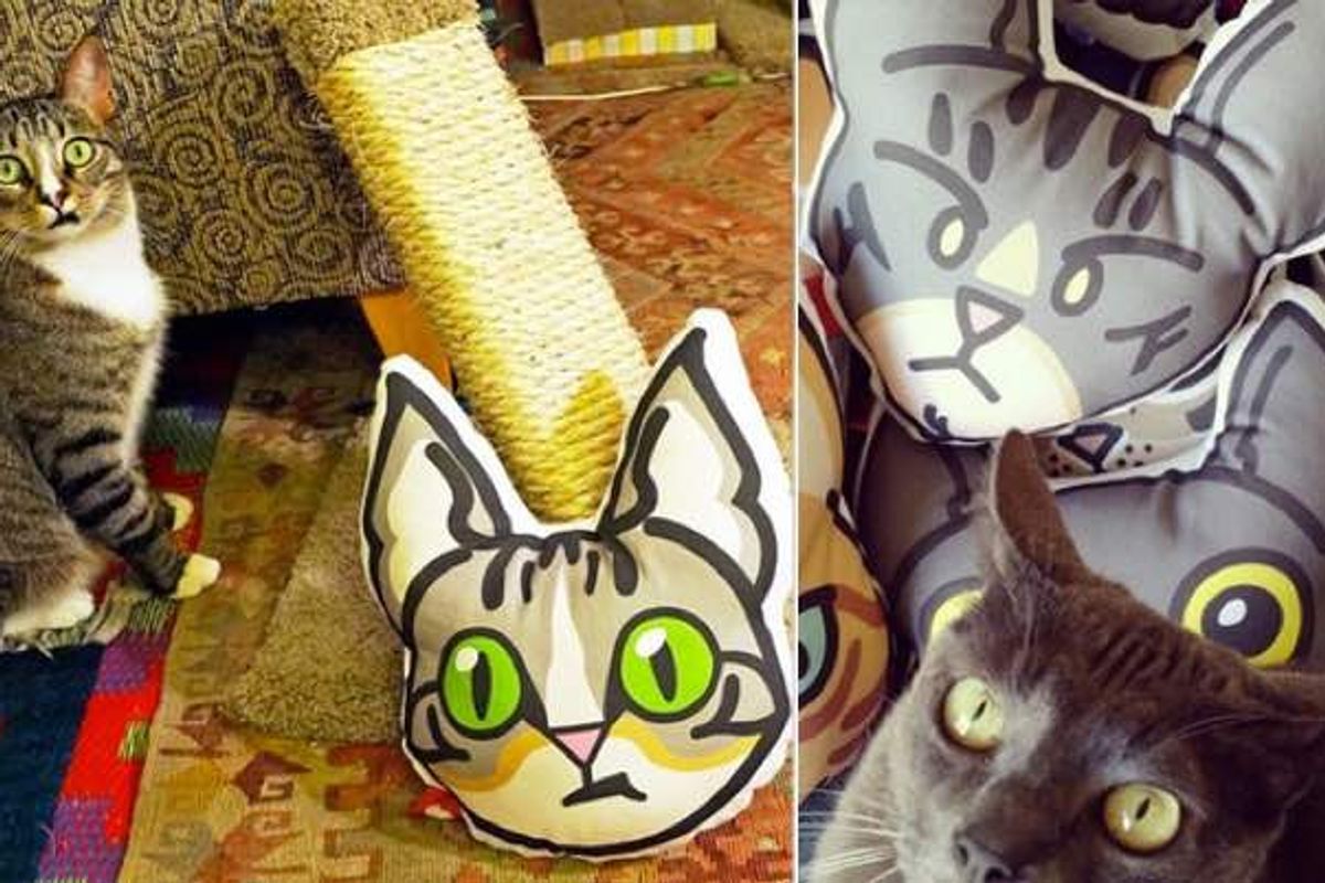 Young Woman Turns Her Love for Her Cats into Kitty Pillows!