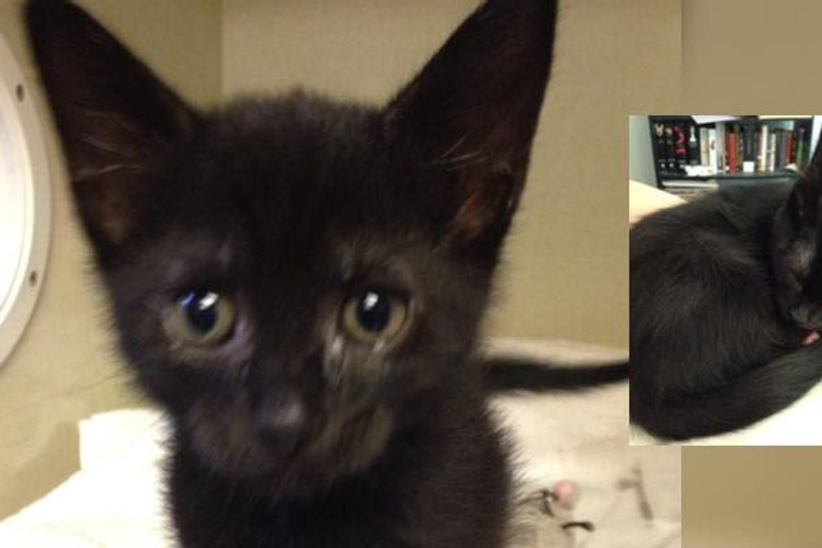 Three Months After Shelter, Love Grows!