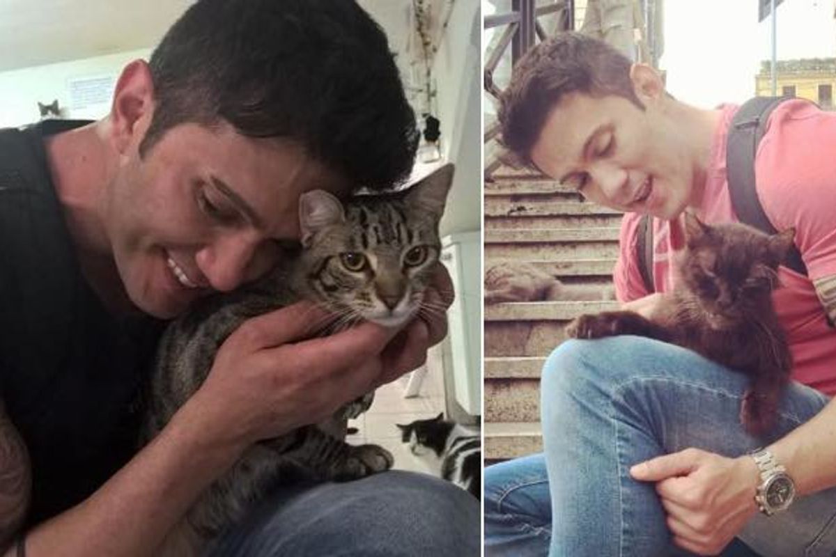 Man Visits Cats Wherever He Travels and Rescues Those Who Need a Home (10+ photos)