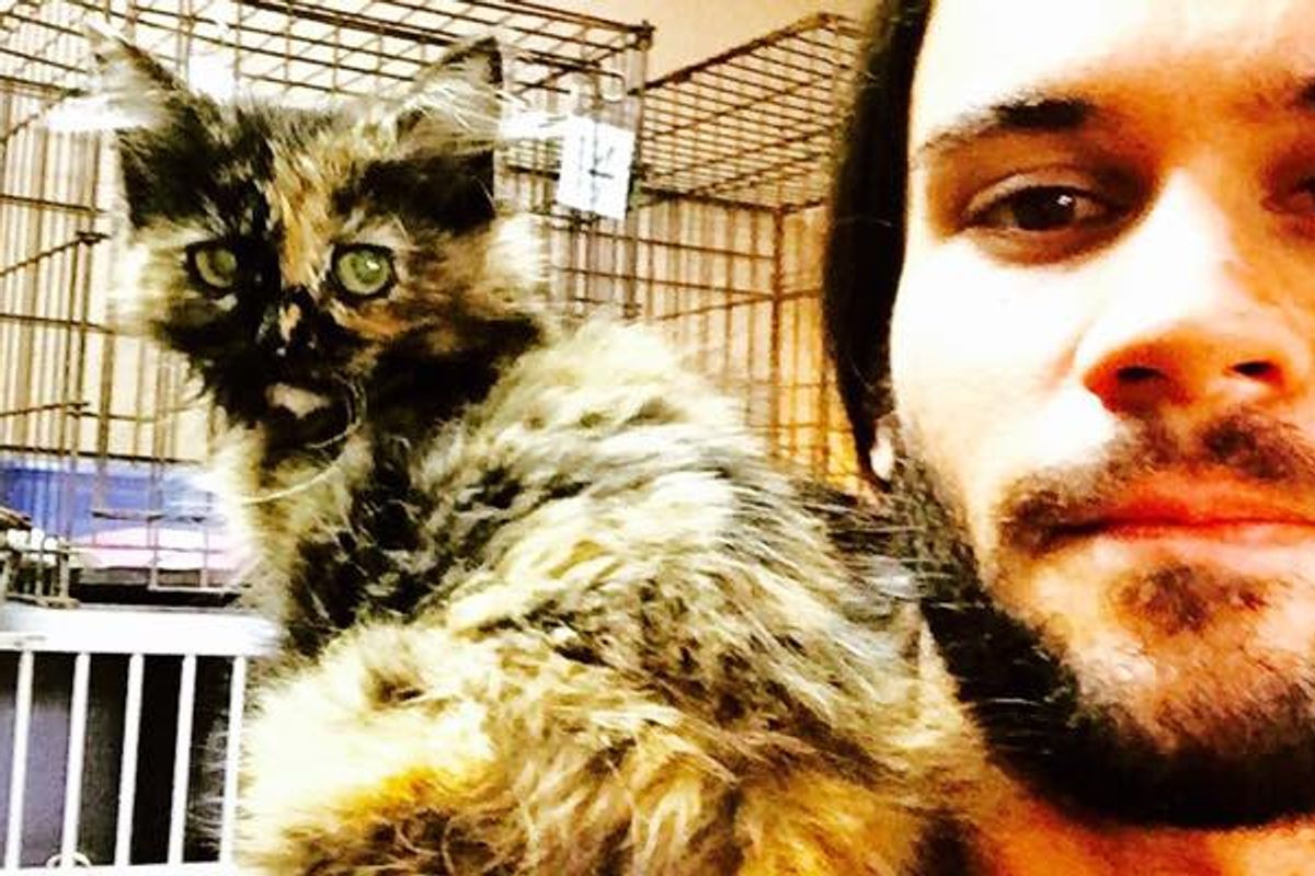 Shoulder Kitten Picks Man at the Shelter, Then and Now!