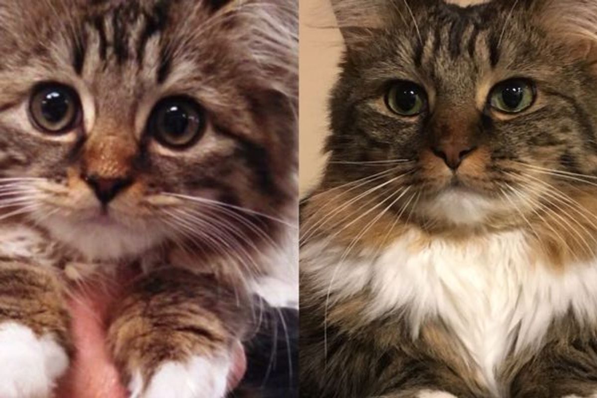 A Year After Shelter, What a Difference! (8 Photos)