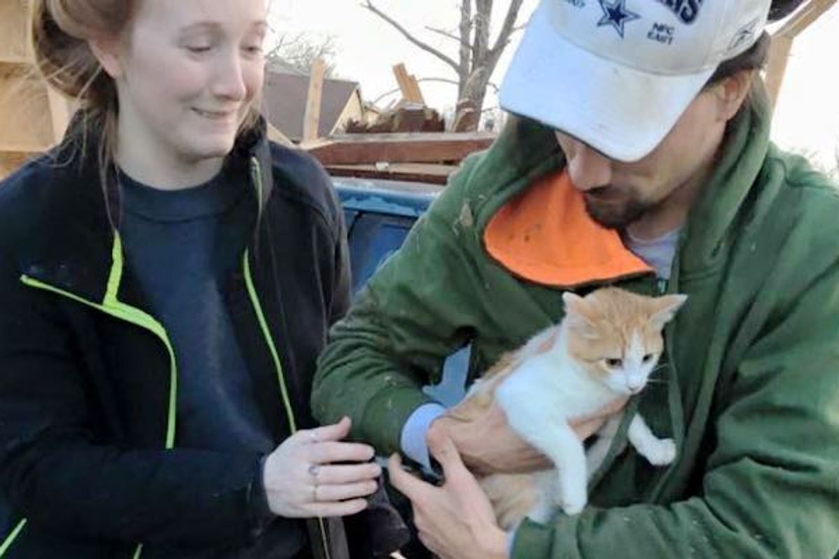 Family Never Gave Up Looking for Their Cats After Tornado Destroyed Their Home
