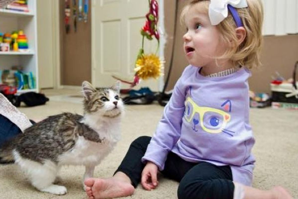3-legged Kitten Adopted by 2-year-old Amputee Share a Special Connection