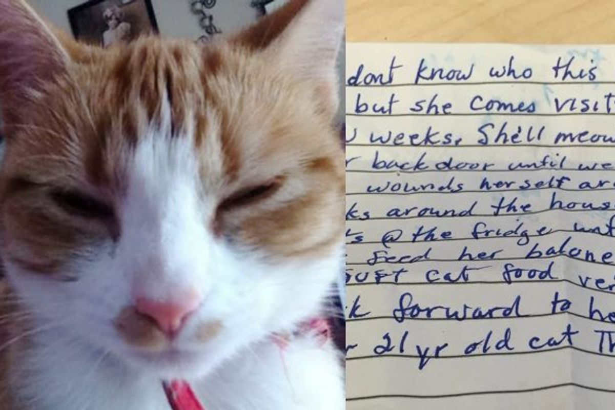 Cat Went to Visit Neighbors and Came Home with This Note attached to Her