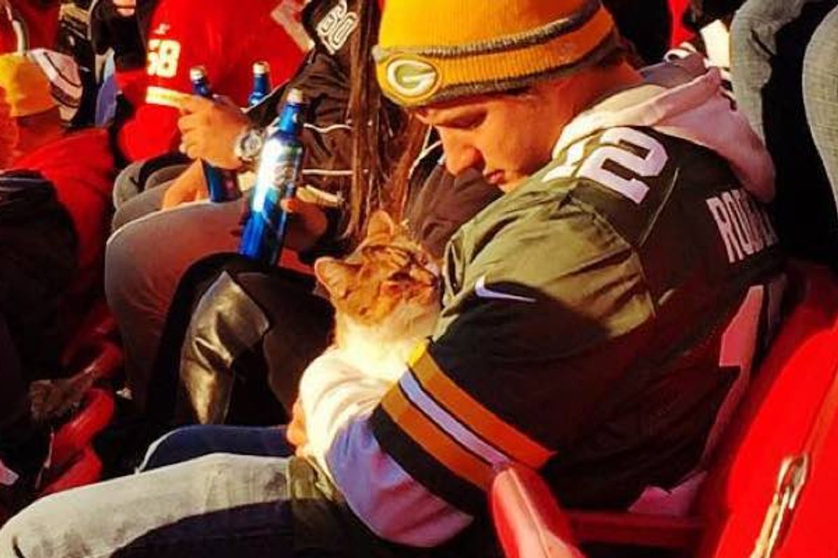 Man Rescued Cat Found in Stadium During NFL Game