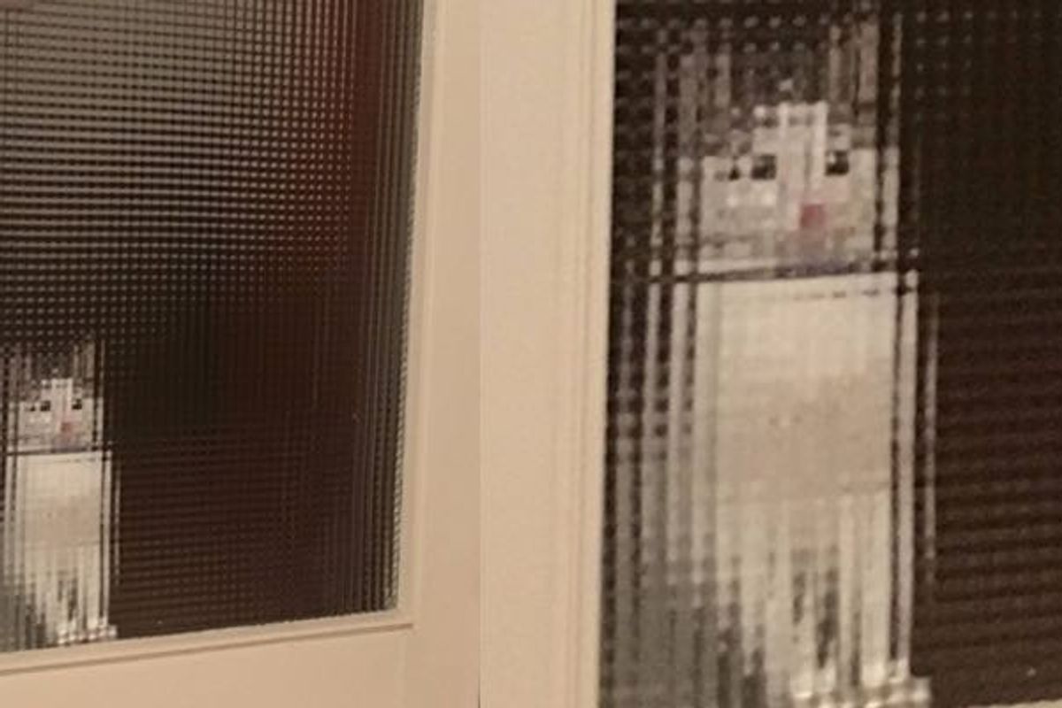 Man Comes Home to a Pixelated Cat Waiting for Him by the Door