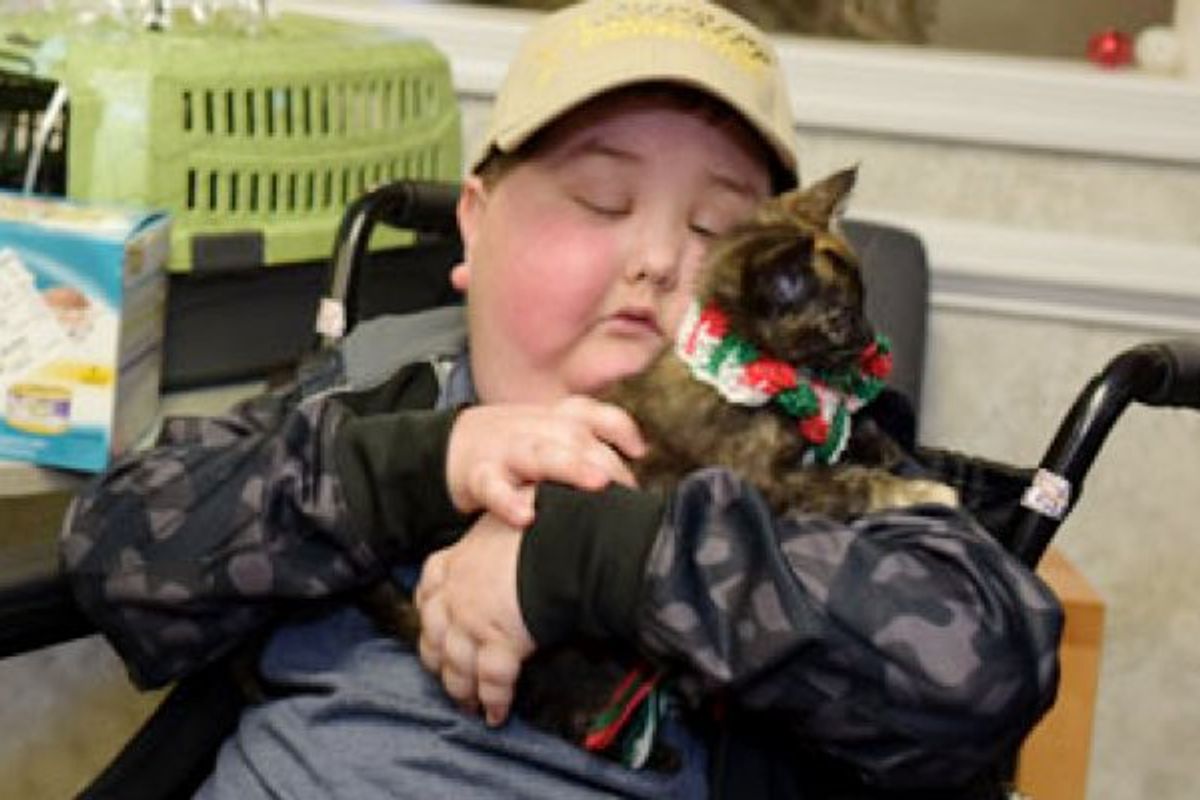 Shelter Kitten Made Terminally-ill Child's Dream Come True. Now They are Inseparable!