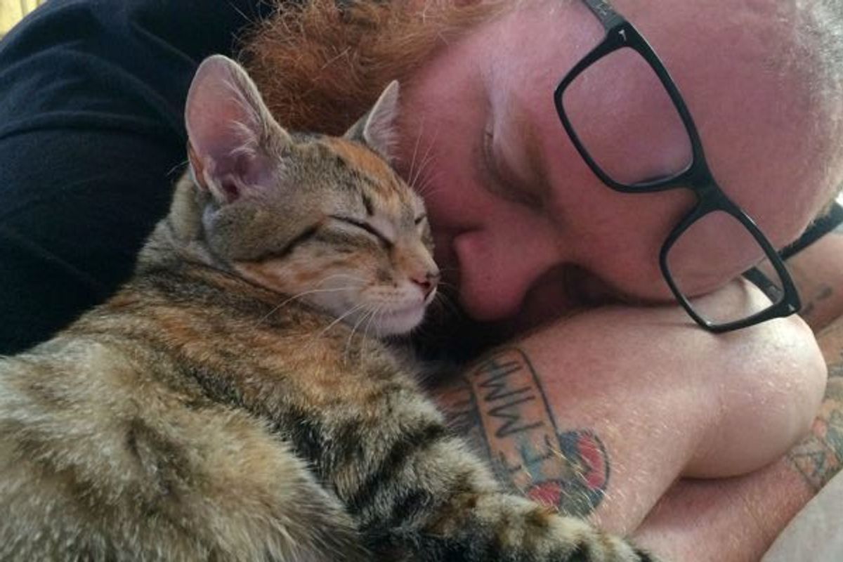 Man Saves Warehouse Kitten and Becomes Her Forever Cuddle Buddy