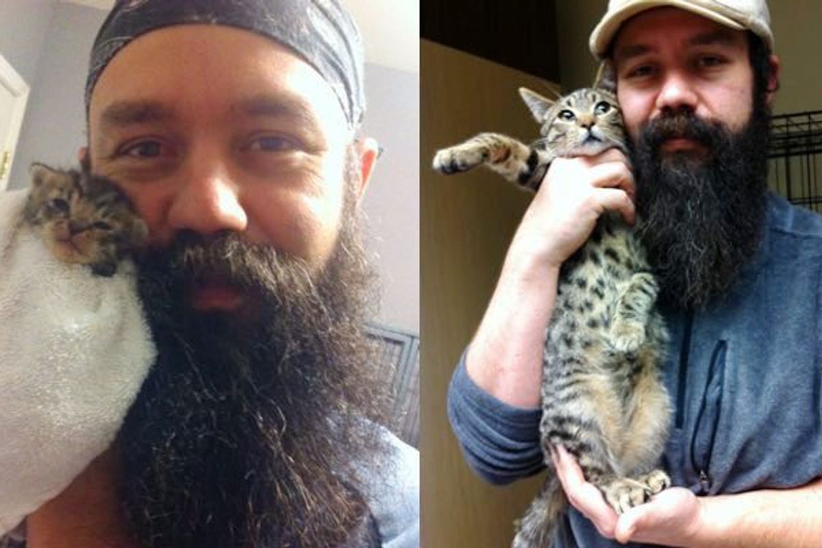 Man Shows Rescue Kitten Growing Faster Than His Beard