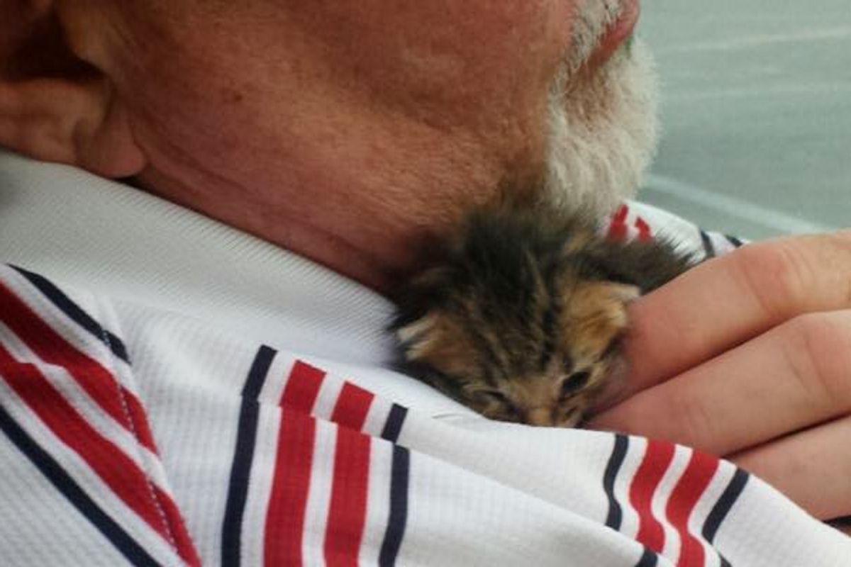 Man Rescues a Helpless Kitten from Dumpster, the Kitty Rescues Him Too!