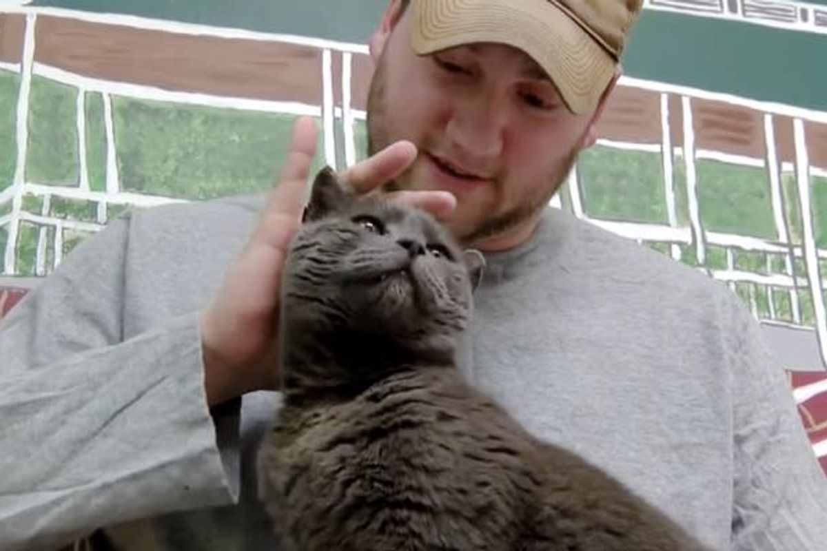 Cat Went Looking for His Human who was Deployed. 4 Years Later They Found Each Other!
