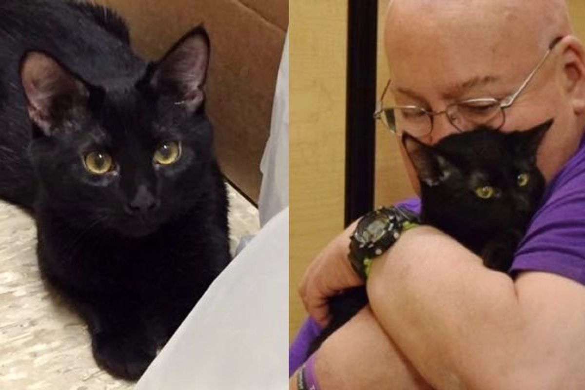 Rescue Cat Saved Man's Life Days After He Got Him Out of Shelter