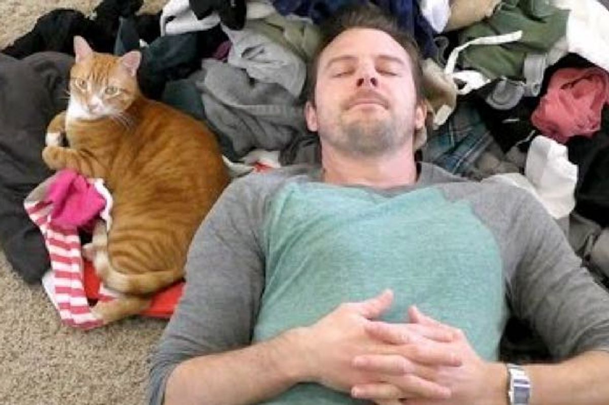 Cat People Will Understand What this Guy Does for His Cats