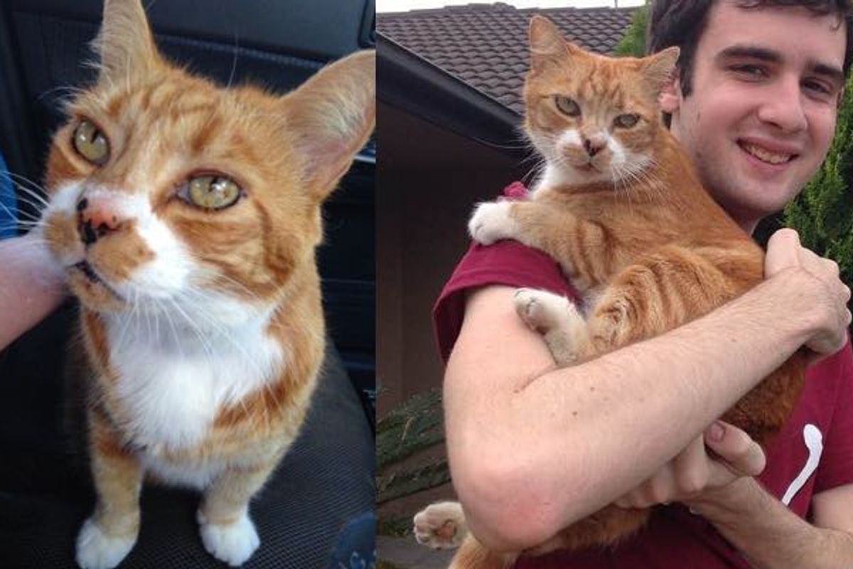 Shelter Cat Jumped on Boy's Lap for Love, 11 Years Later, They are Still Together!