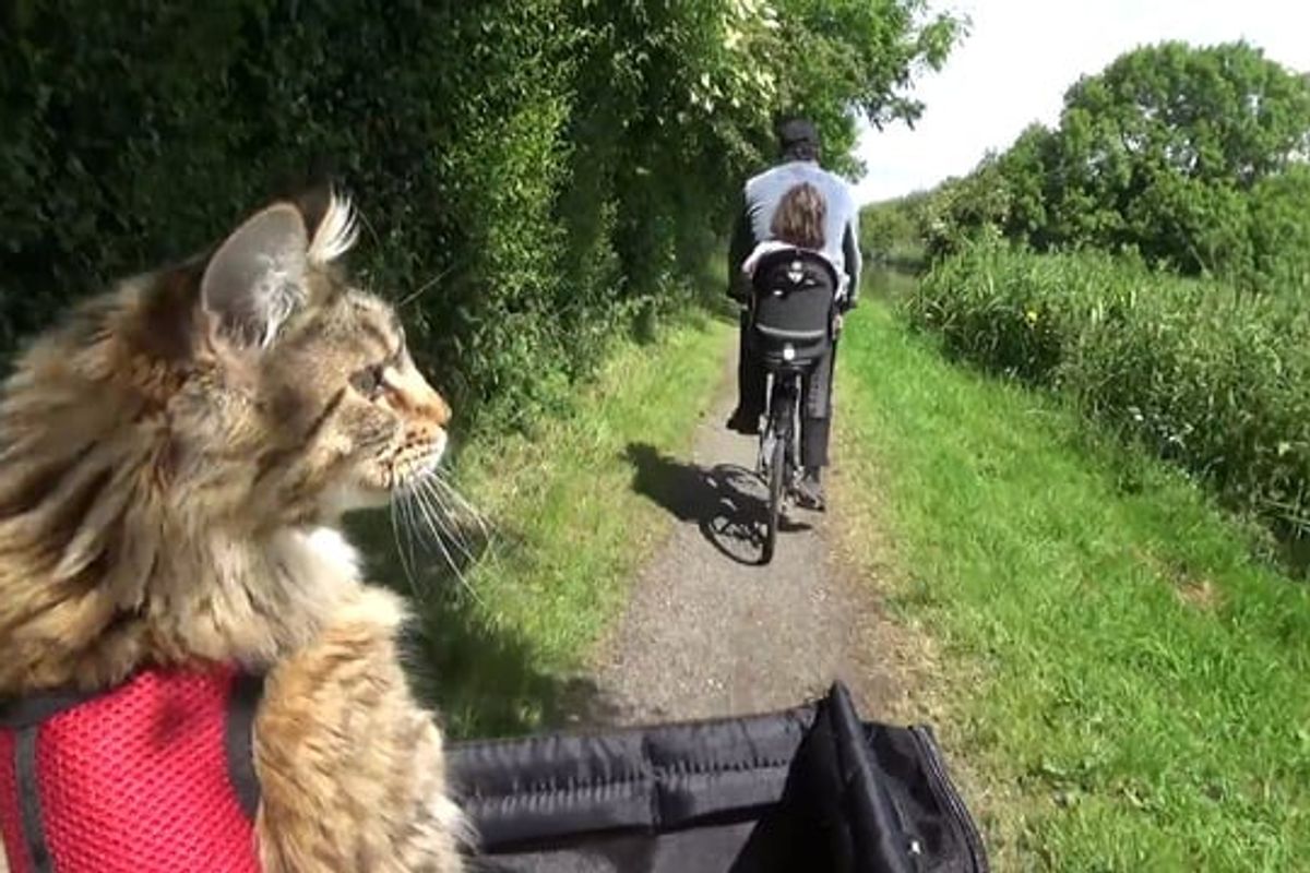 Different is Brilliant