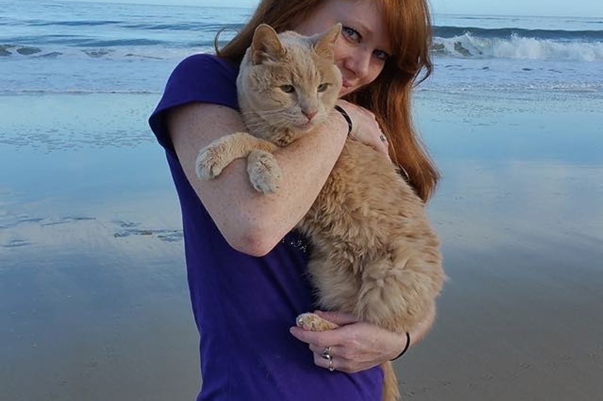 Woman Saves 21 Year Old Cat, is on a Mission to Help Him Live Out His Best Life