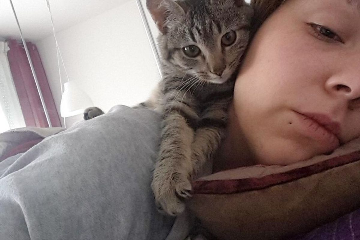 Stray Kitten Jumped in Woman's Lap in an Alley, Two and a Half Weeks Later..